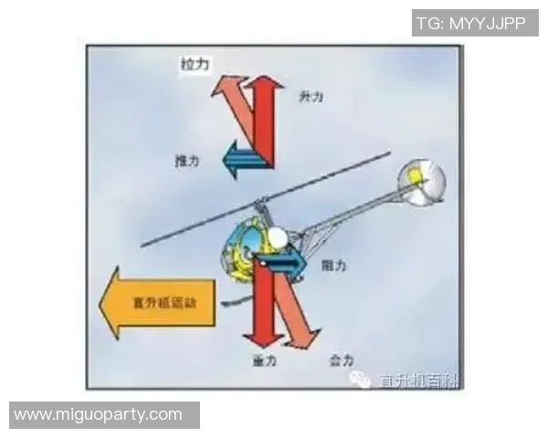 113查尔顿对桑德兰比赛结果分析及精彩瞬间回顾